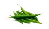 Green Chilli 500 gm 1