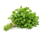 Coriander Leaves 100 gm 1