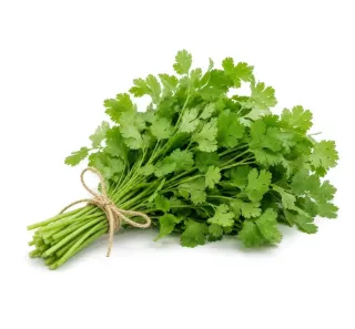 Coriander Leaves 100 gm