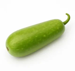 Bottle Gourd 1pcs