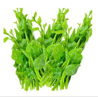 Malabar Spinach – 1 kg