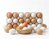 Eggs 