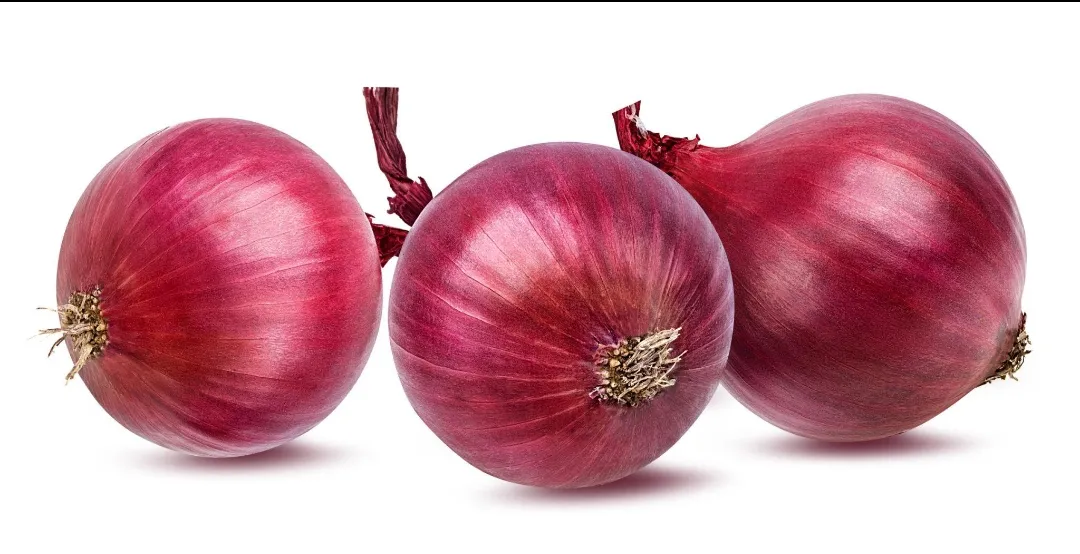 Onion 1 kg