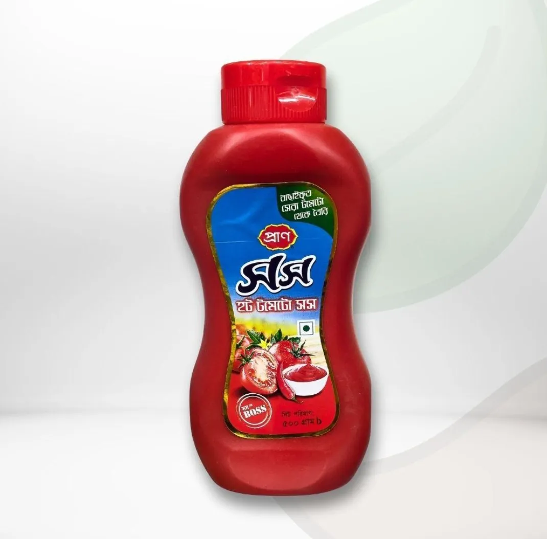 PRAN Hot Tomato Sauce 500g