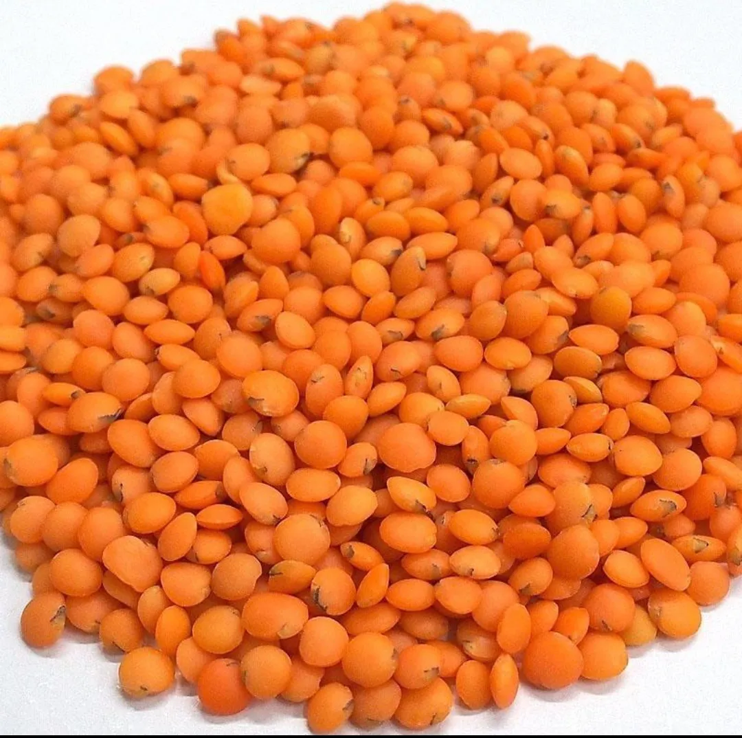 Masoor Dal 1kg