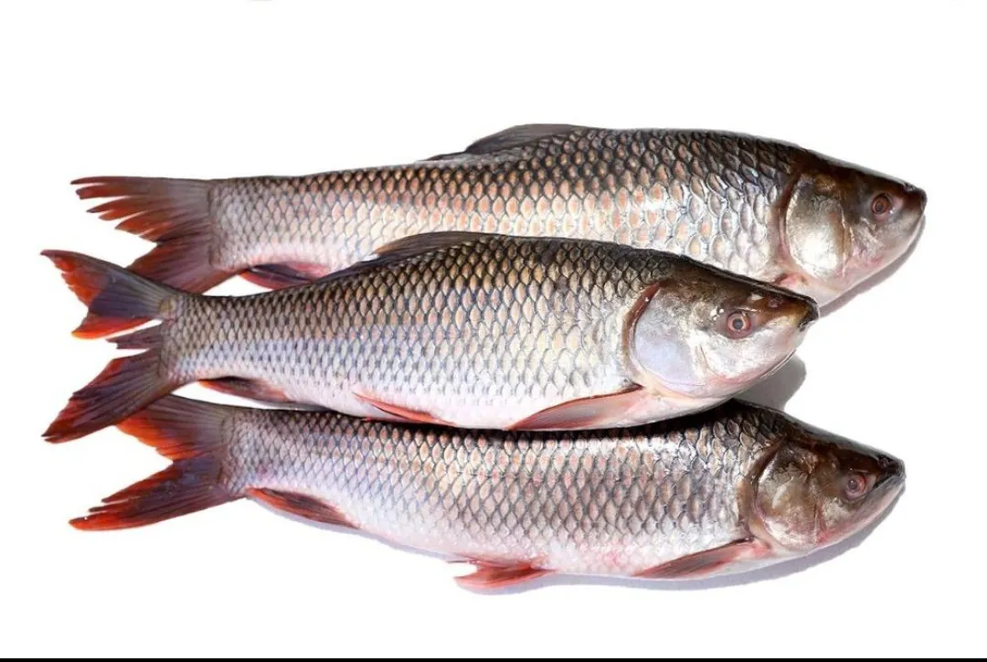 Rohu Fish 1kg
