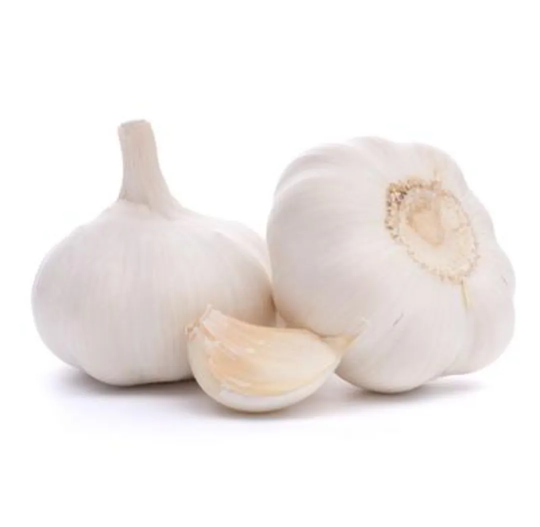 China Big Garlic 500 gm